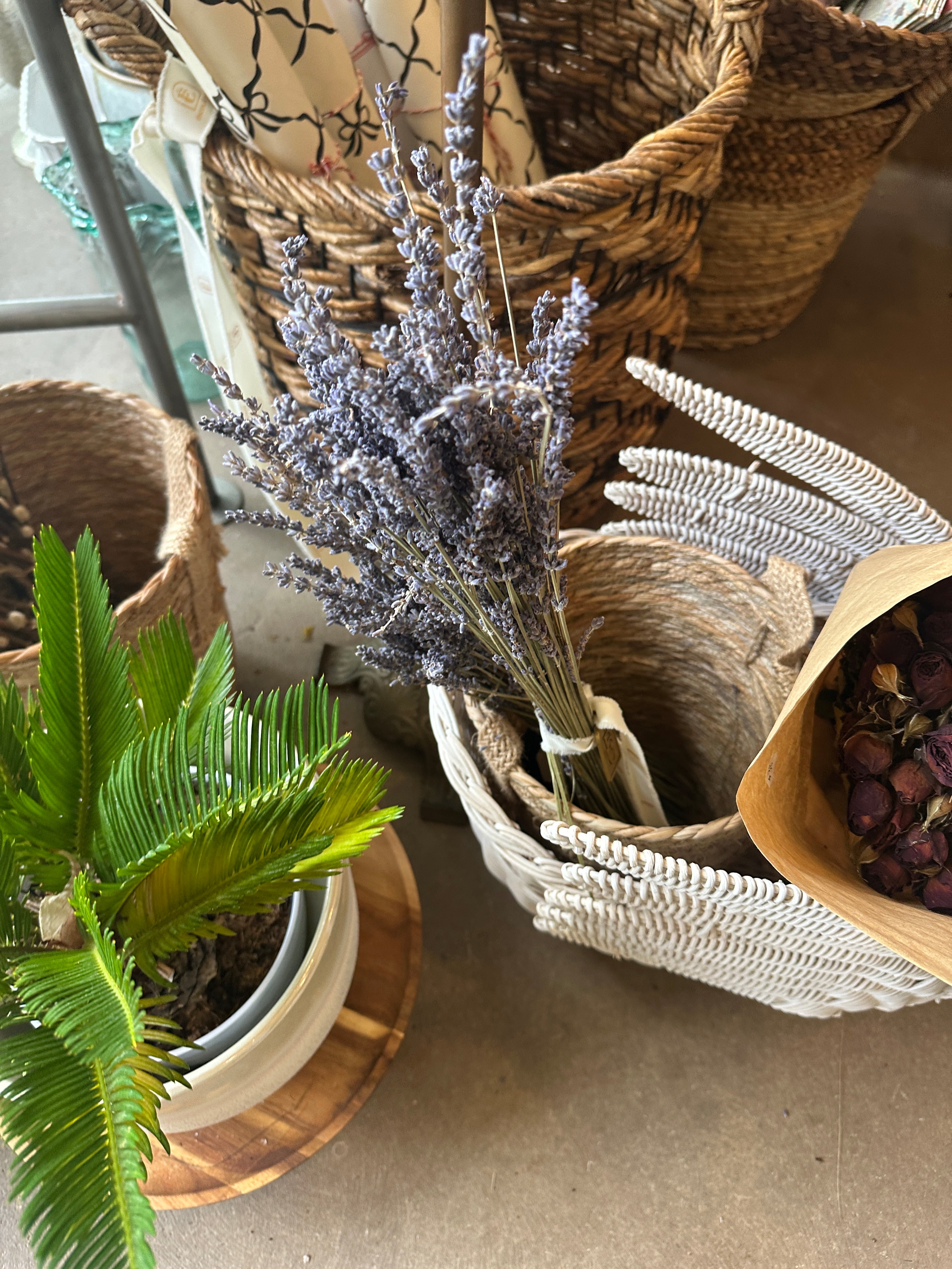 lavender Bundle