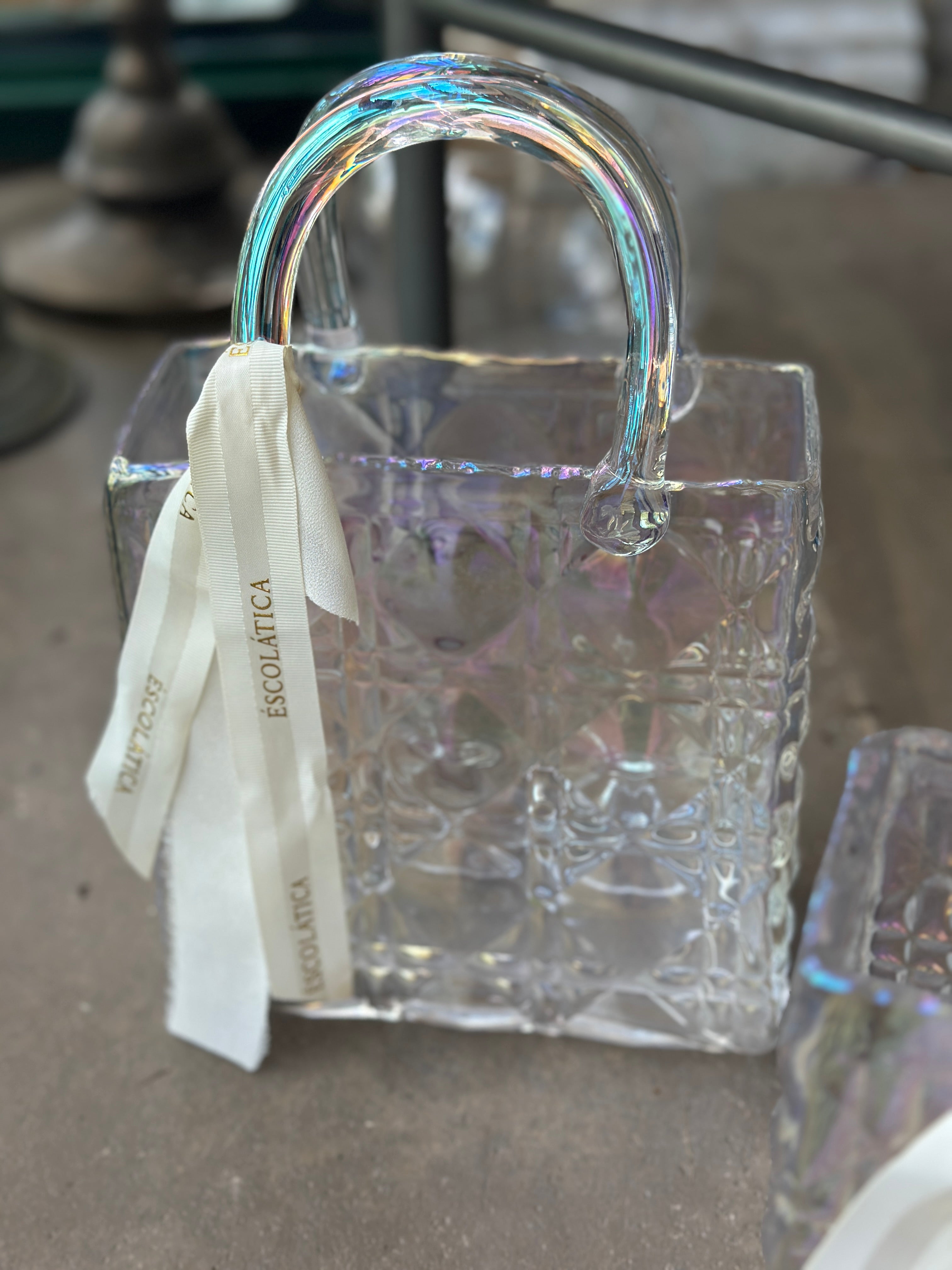 Irredescent Purse