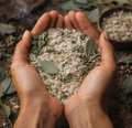 HEAL — Ritual of Restoration