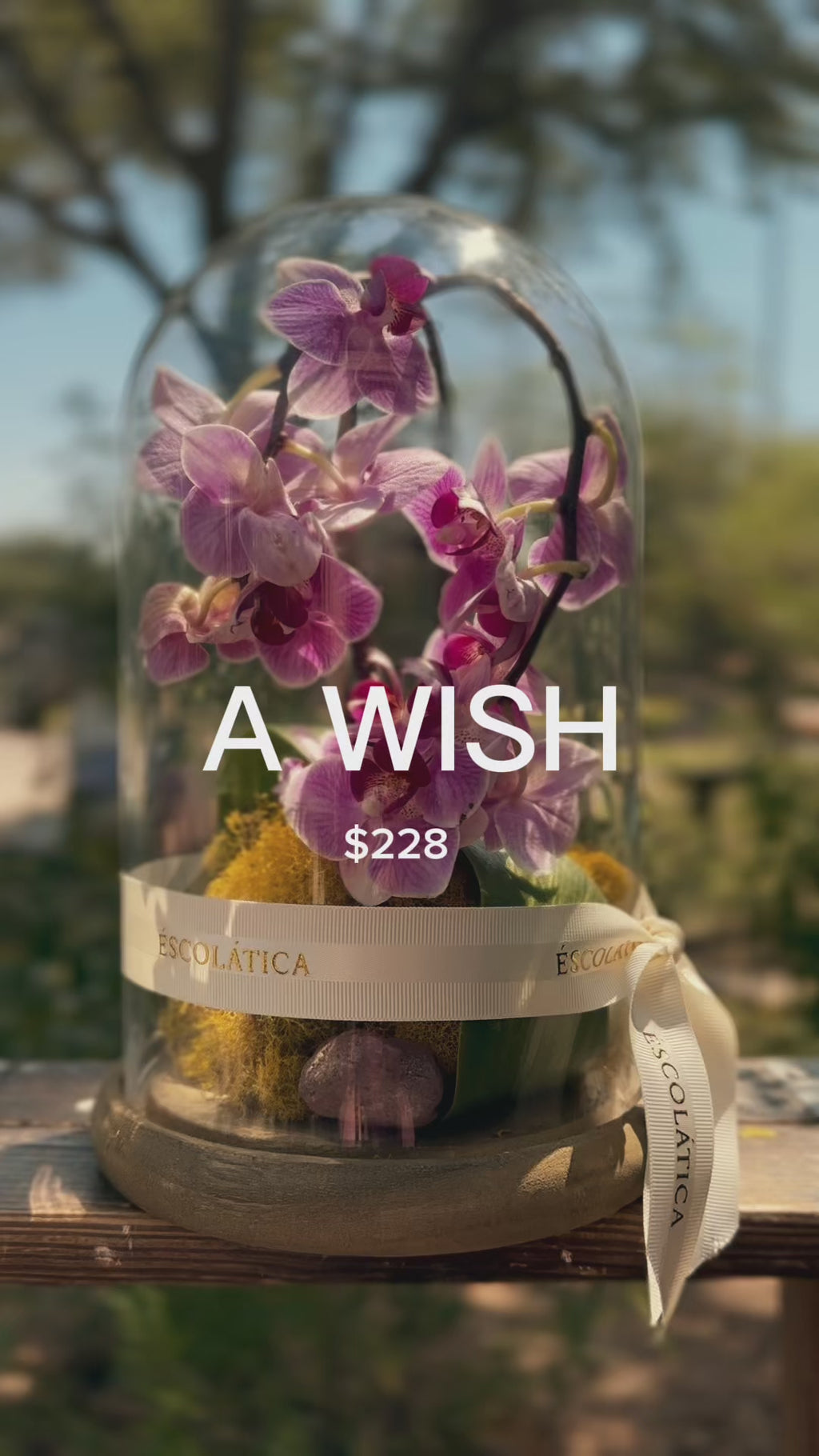 A Wish